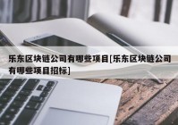 乐东区块链公司有哪些项目[乐东区块链公司有哪些项目招标]